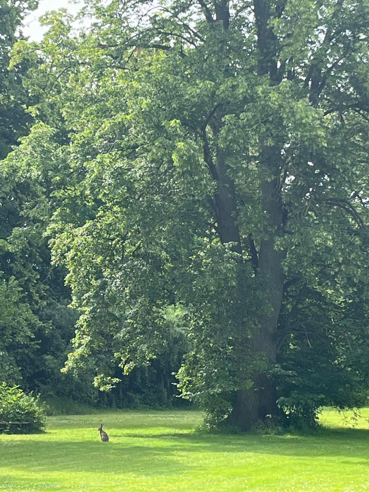 Nykobing Falster Vandrehjem Exterior foto